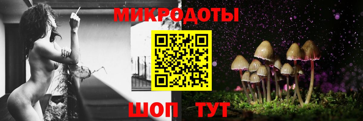 Псилоцибиновые грибы Psilocybe  Псилоцибиновые грибы Cubensis  Биробиджан  Вход с VPN 